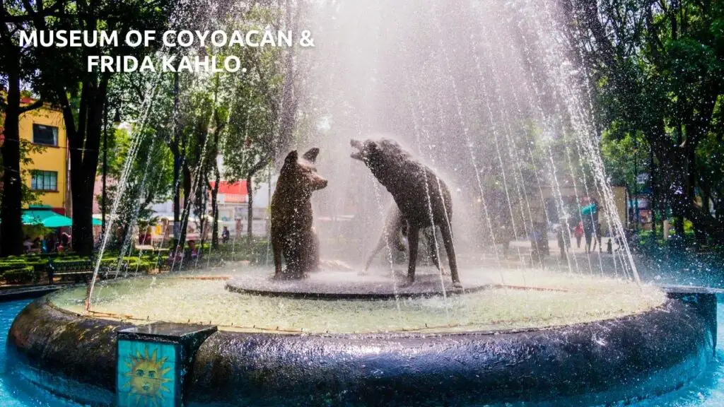 things to do at mexico city
