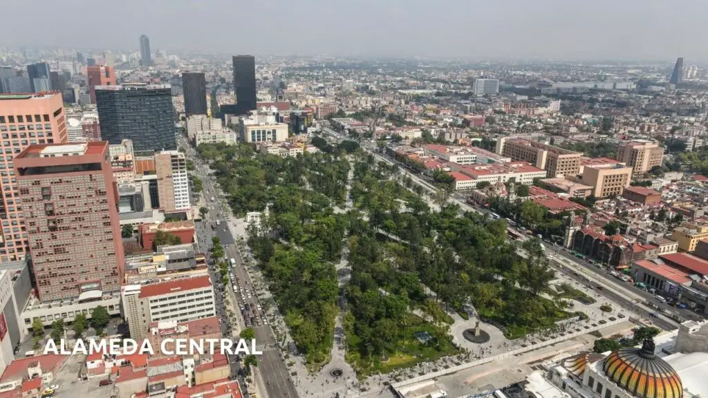 things to do at mexico city